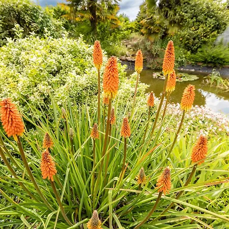 Couette-café L'ecrin De Soligny-les-Etangs