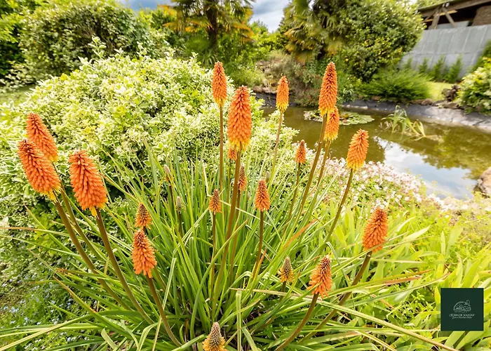 Bed & Breakfast D'hote- L'ecrin De Soligny-les-Etangs